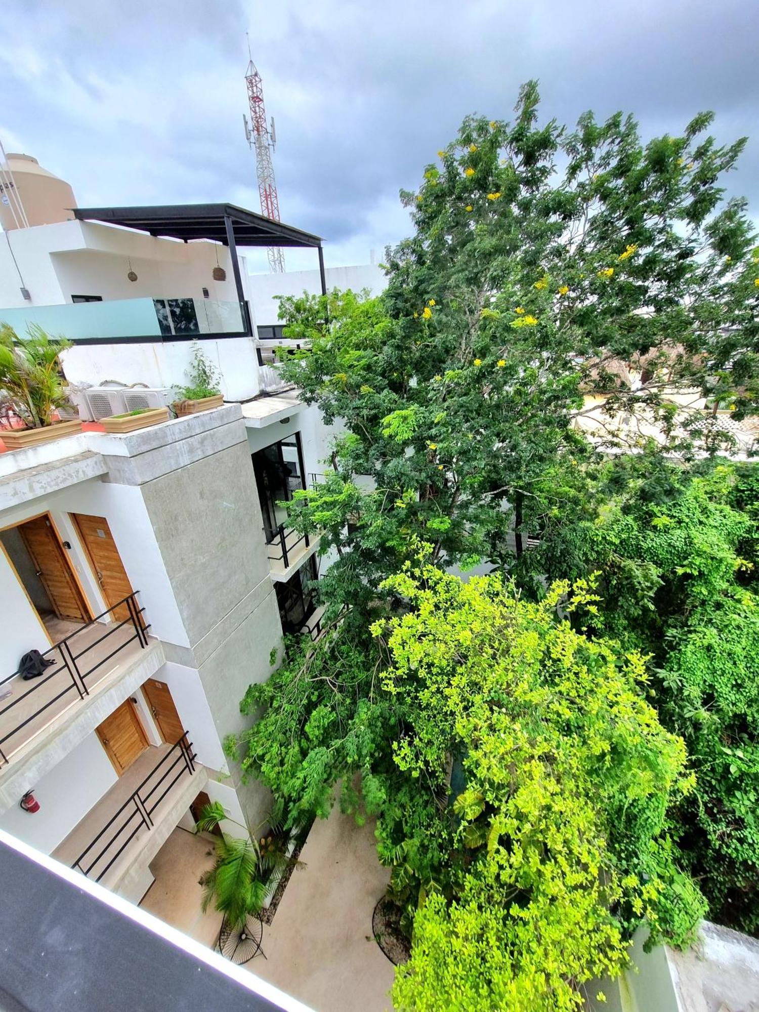 Mi Tulum Quarto foto